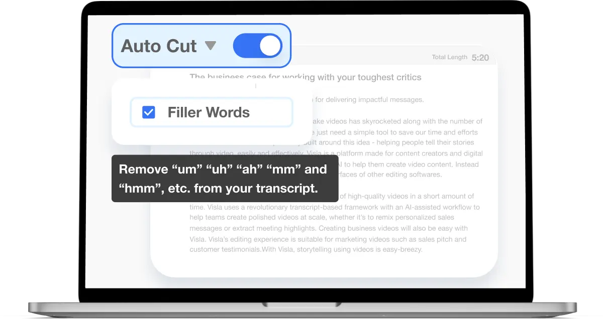 Visla's feature to remove filler words like 'um' and 'ah' from transcripts, enhancing video speech clarity.